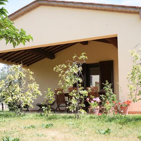 Graziosa Casetta Con Piscina Castagneto Carducci Exteriör bild